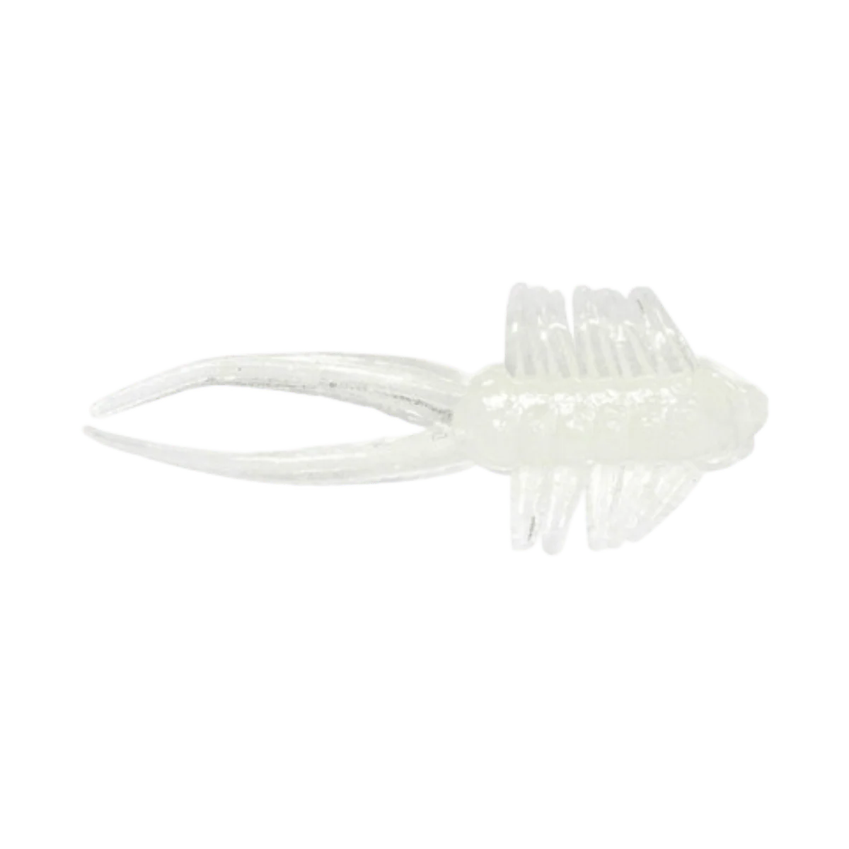 CLAM JAMEI - 1-1/8IN - LUMI