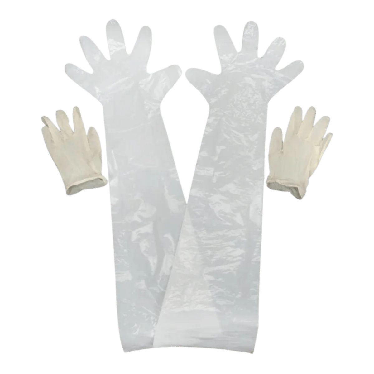ALLEN FIELD DRESSING GLOVES CLEAR