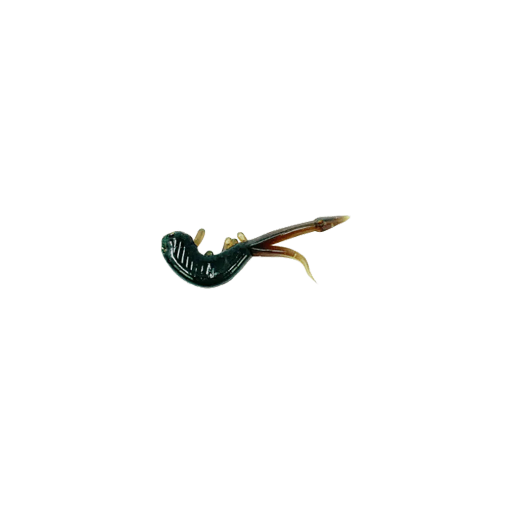 CLAM SCUDI XL - Image 6