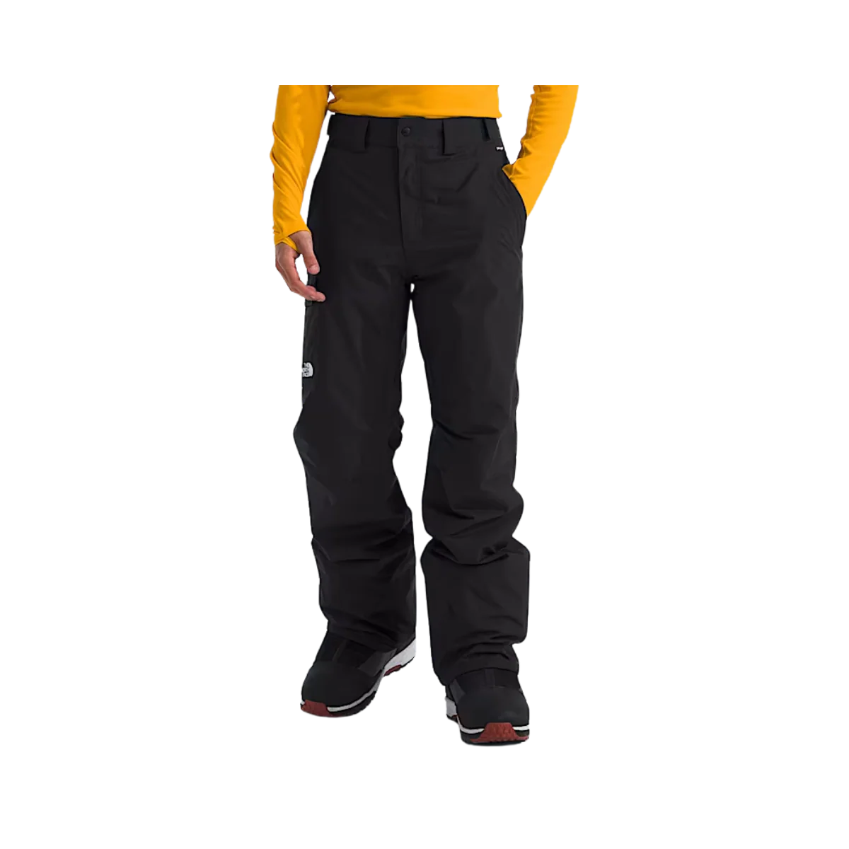 THE NORTH FACE MEN'S FREEDOM INSULATED SNOW PANTS