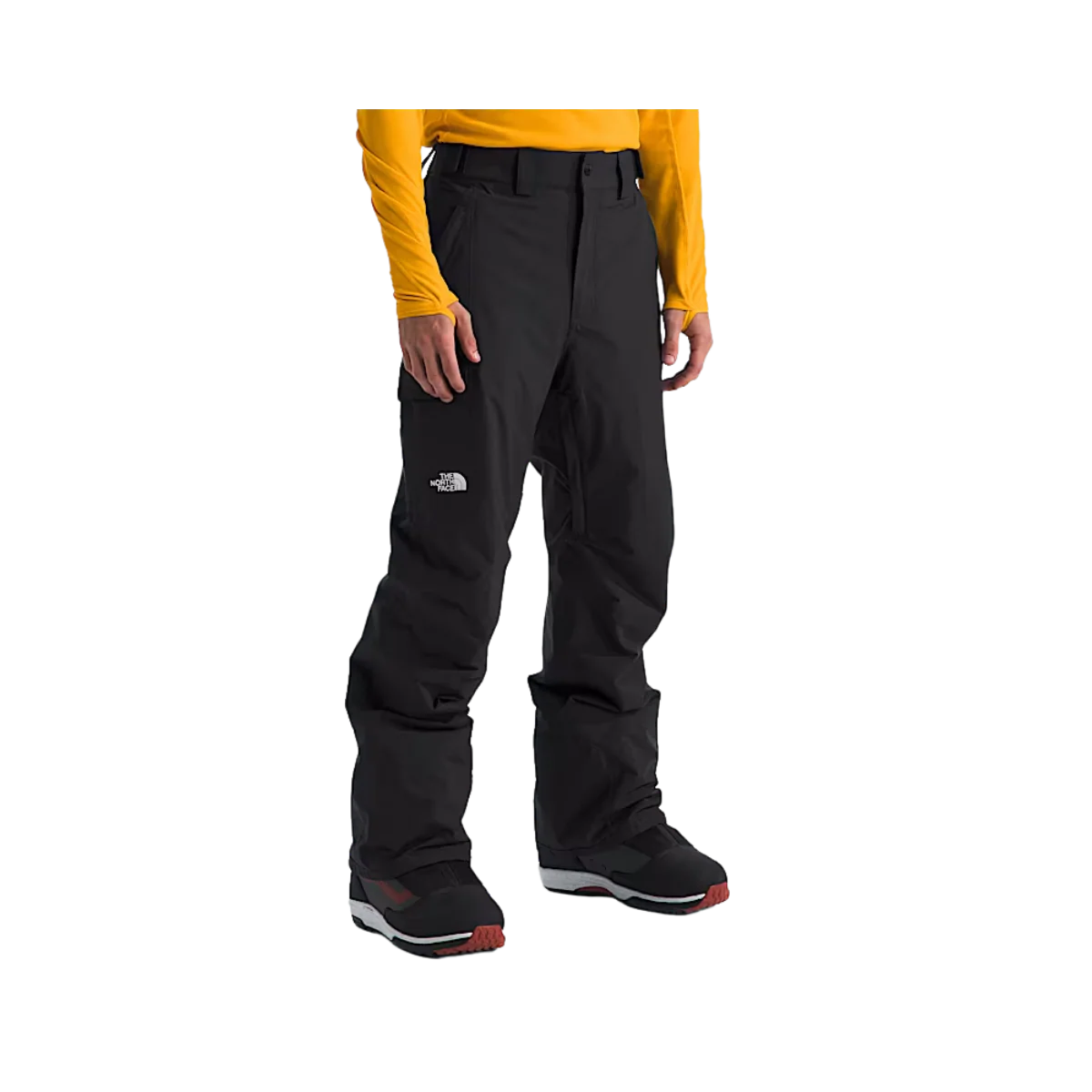 THE NORTH FACE MEN'S FREEDOM INSULATED SNOW PANTS - Image 3
