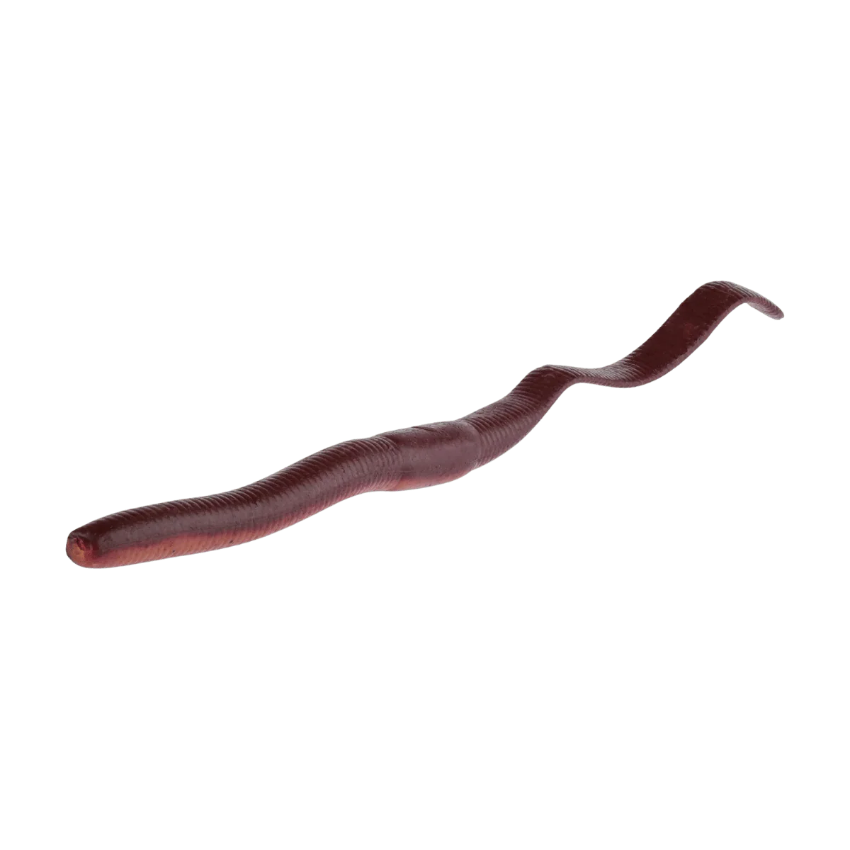 BERKLEY GULP! SR CRAWLER 12PK – SCENTED SOFT PLASTIC WORM - Image 20