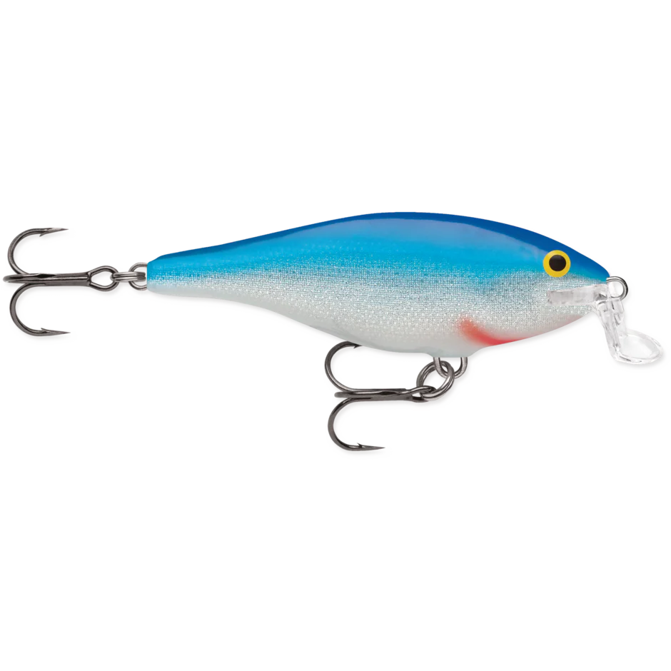 SHALLOW SHAD RAP - Image 2