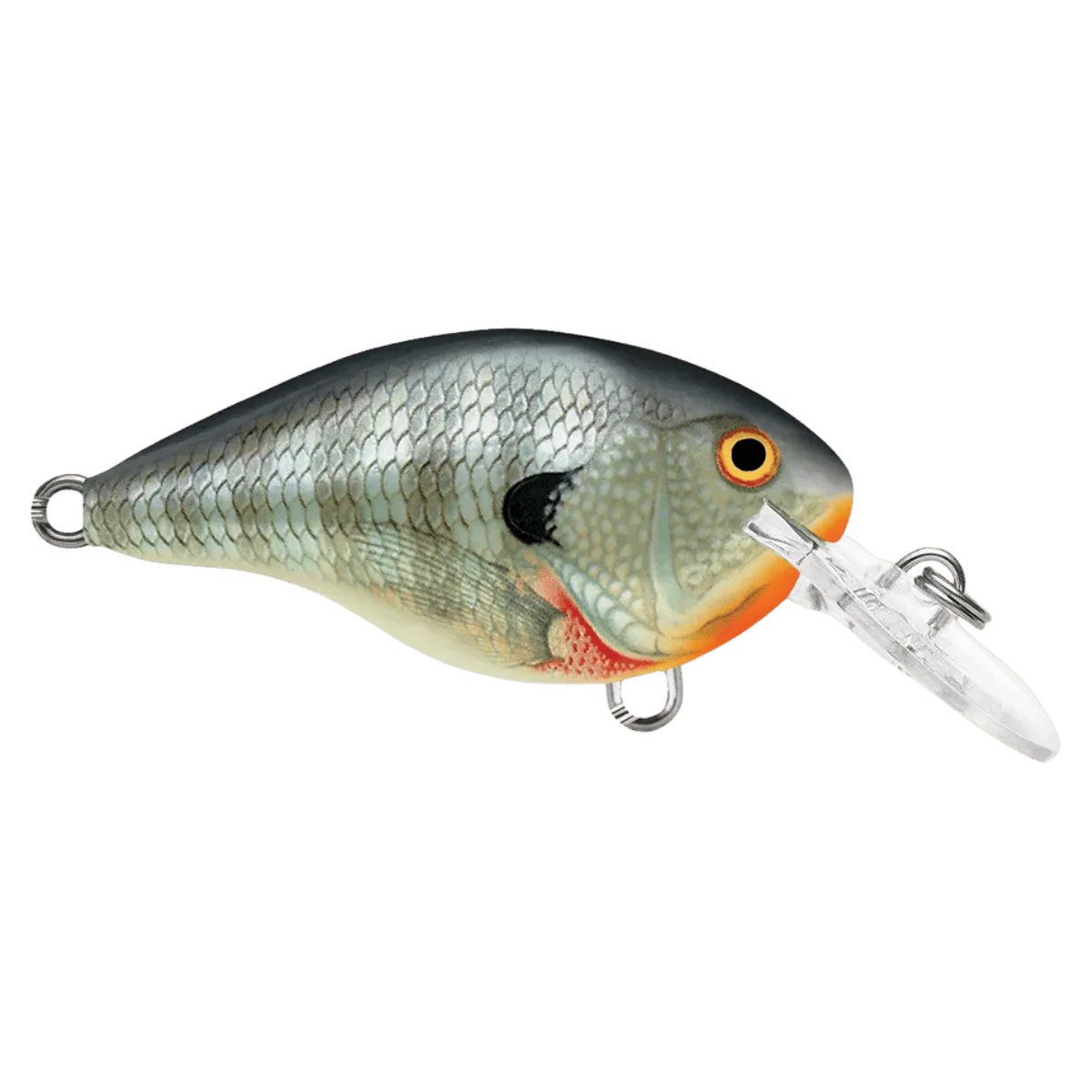 RAPALA DT4 SERIES CRACKBAITS - BLUEGILL 2IN  5/16OZ