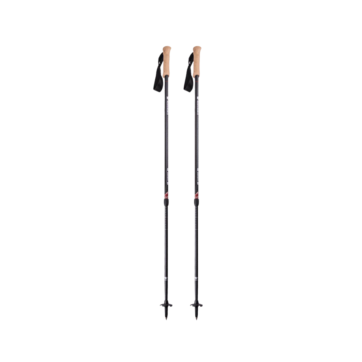 MOUNTAINSMITH ANDESITE TREKKING POLES - CARBON
