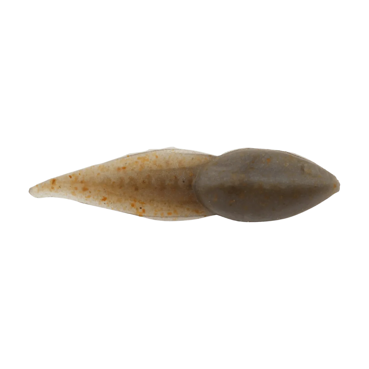 BERKLEY GULP ALIVE TADPOLE 1.25IN - SCENTED SOFT BAIT - Image 11