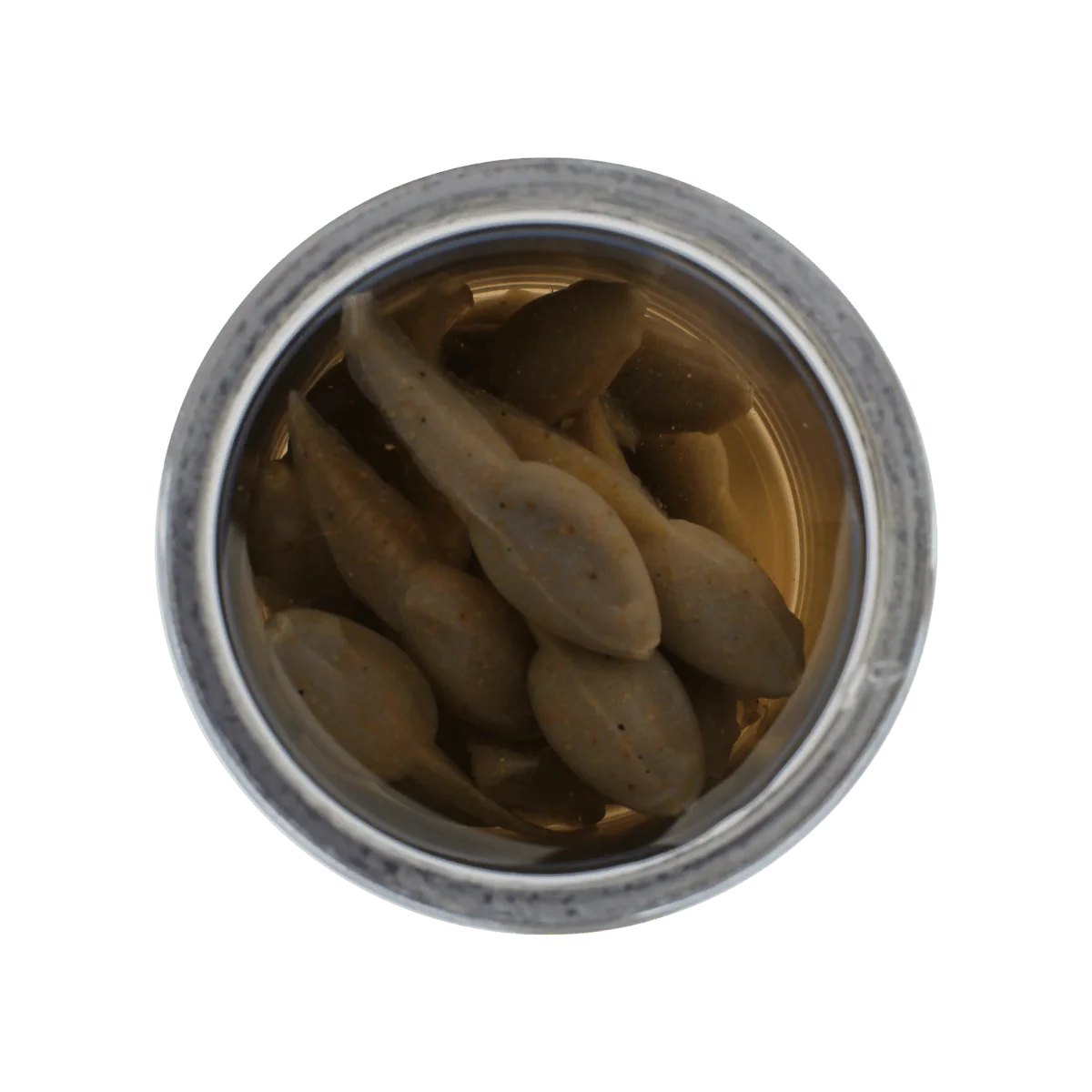 BERKLEY GULP ALIVE TADPOLE 1.25IN - SCENTED SOFT BAIT - Image 12
