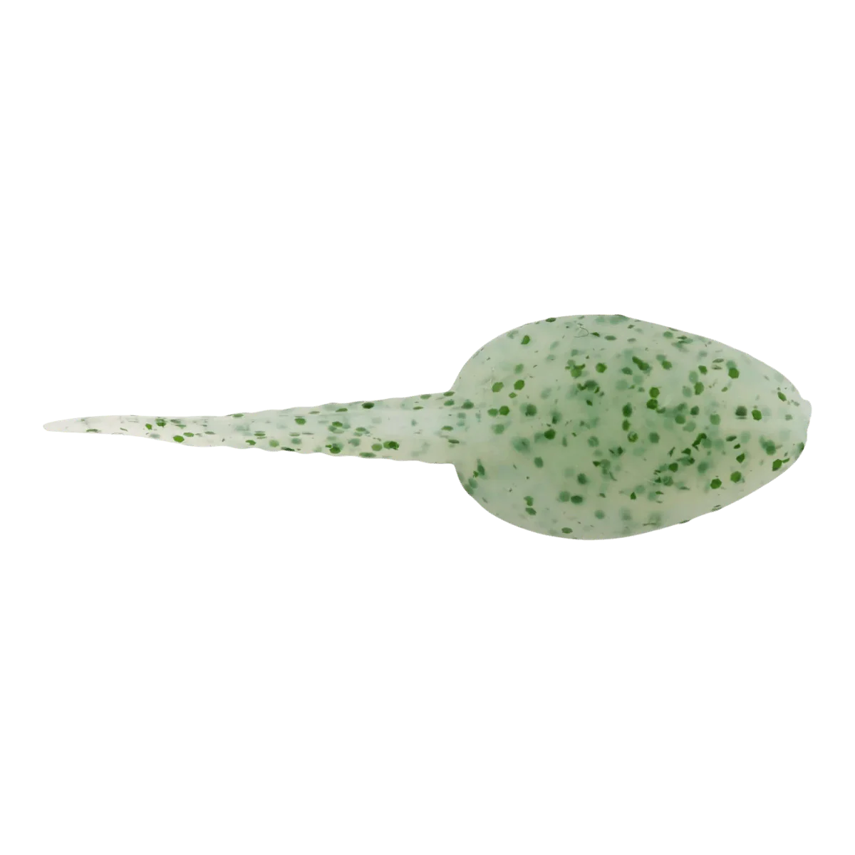 BERKLEY GULP ALIVE TADPOLE 1.25IN - SCENTED SOFT BAIT - Image 3