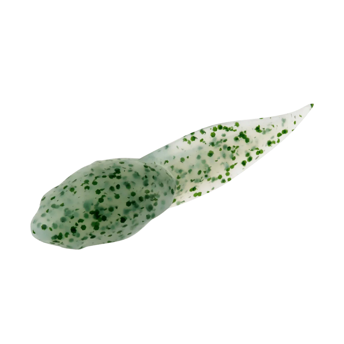 BERKLEY GULP ALIVE TADPOLE 1.25IN - SCENTED SOFT BAIT - Image 4