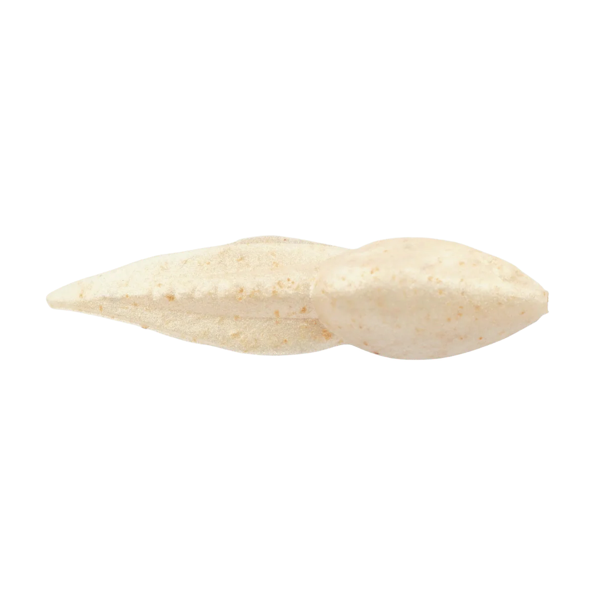 BERKLEY GULP ALIVE TADPOLE 1.25IN - SCENTED SOFT BAIT - Image 5