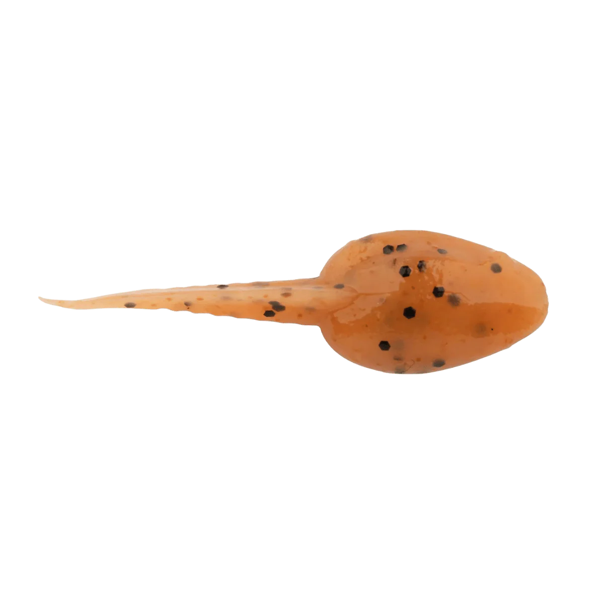 BERKLEY GULP ALIVE TADPOLE 1.25IN - SCENTED SOFT BAIT - Image 9
