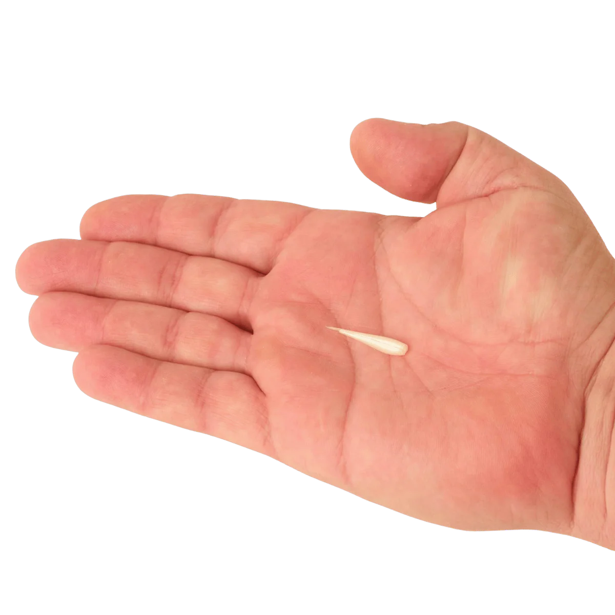 BERKLEY POWERBAIT MINNOW 1IN SCENTED BAIT - Image 11