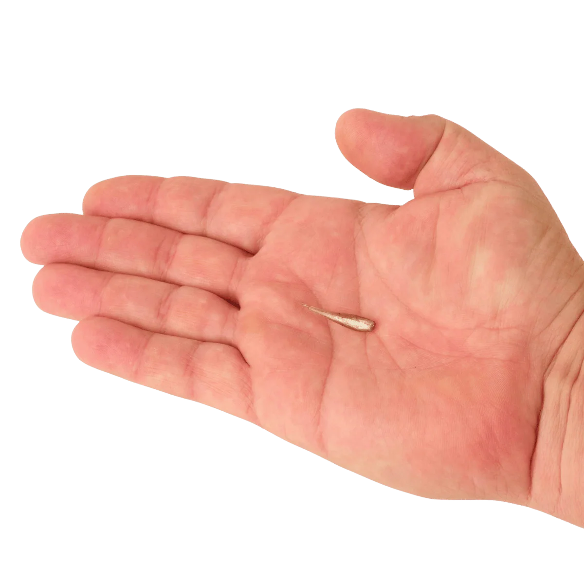 BERKLEY POWERBAIT MINNOW 1IN SCENTED BAIT - Image 14