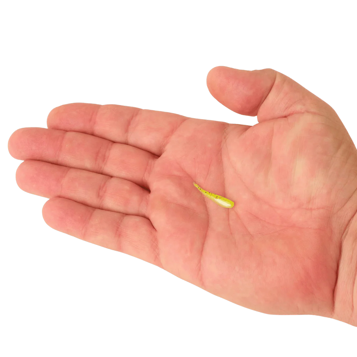 BERKLEY POWERBAIT MINNOW 1IN SCENTED BAIT - Image 5