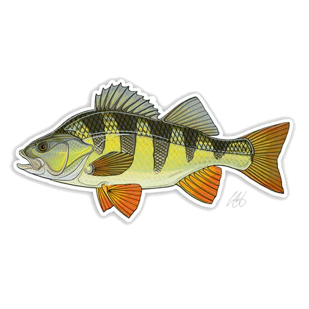 CASEY UNDERWOOD FISH DECALS / STICKERS - Image 10