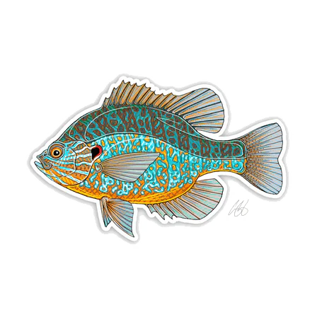 CASEY UNDERWOOD FISH DECALS / STICKERS - Image 12