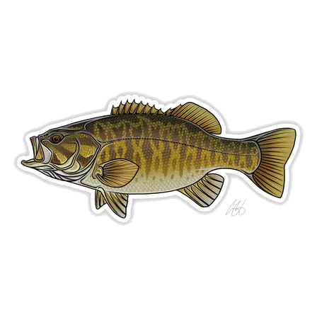 CASEY UNDERWOOD FISH DECALS / STICKERS - Image 14