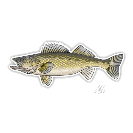 CASEY UNDERWOOD FISH DECALS / STICKERS - Image 16