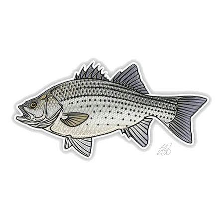 CASEY UNDERWOOD FISH DECALS / STICKERS - Image 17