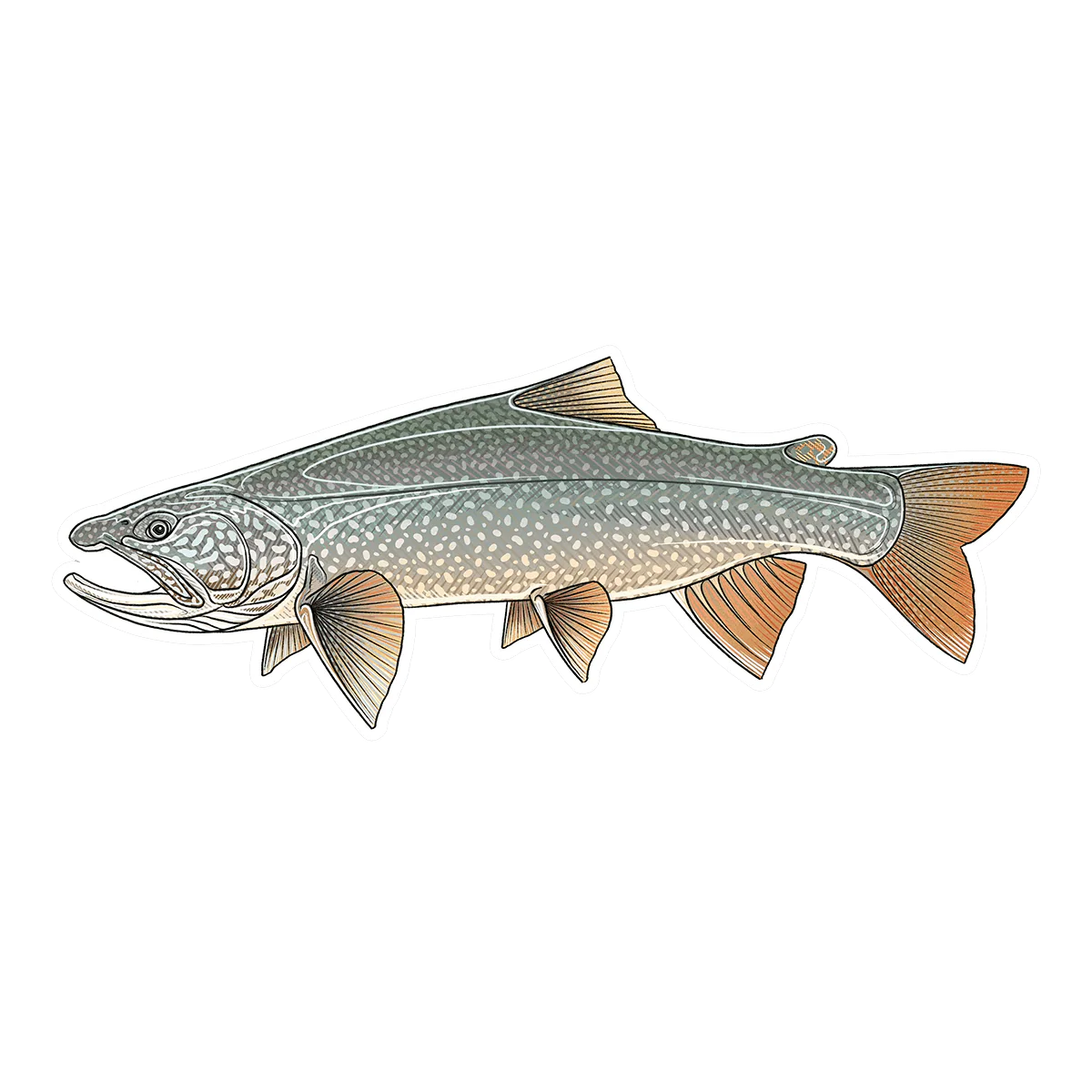 CASEY UNDERWOOD FISH DECALS / STICKERS - Image 18