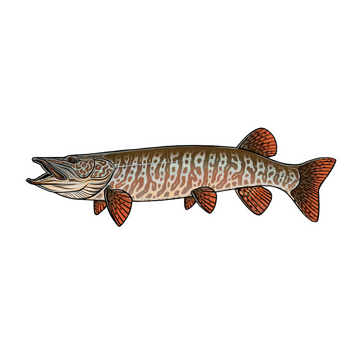CASEY UNDERWOOD FISH DECALS / STICKERS - Image 19