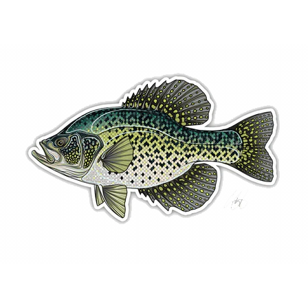 CASEY UNDERWOOD FISH DECALS / STICKERS - Image 5
