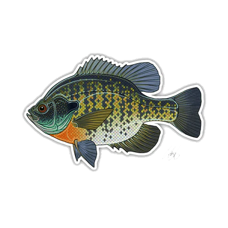 CASEY UNDERWOOD FISH DECALS / STICKERS - Image 6