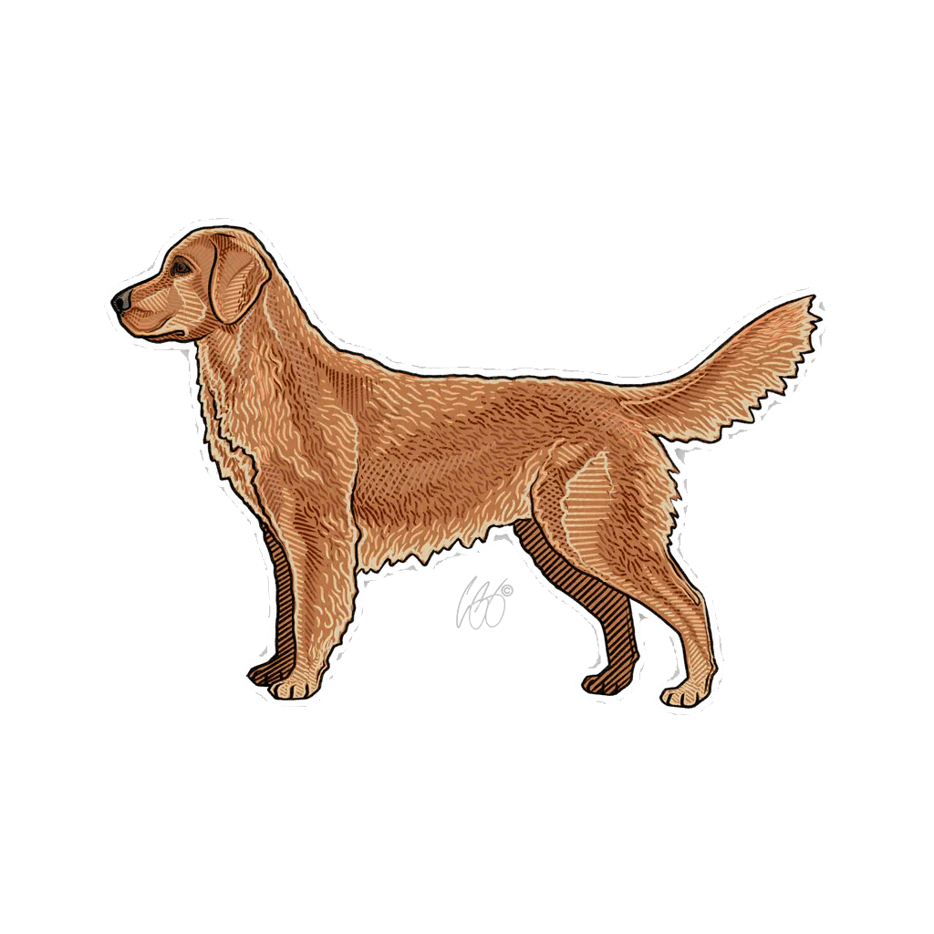 CASEY UNDERWOOD BIRD DOG DECALS / STICKERS - Image 3