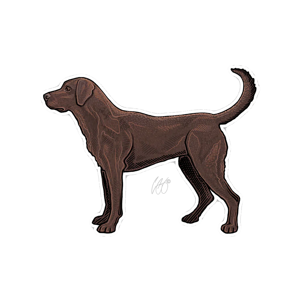 CASEY UNDERWOOD BIRD DOG DECALS / STICKERS - Image 4