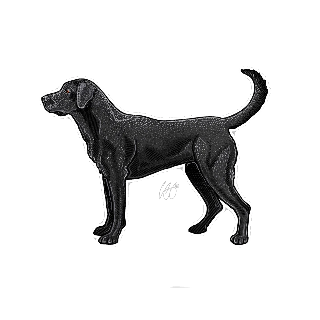 CASEY UNDERWOOD BIRD DOG DECALS / STICKERS - Image 5