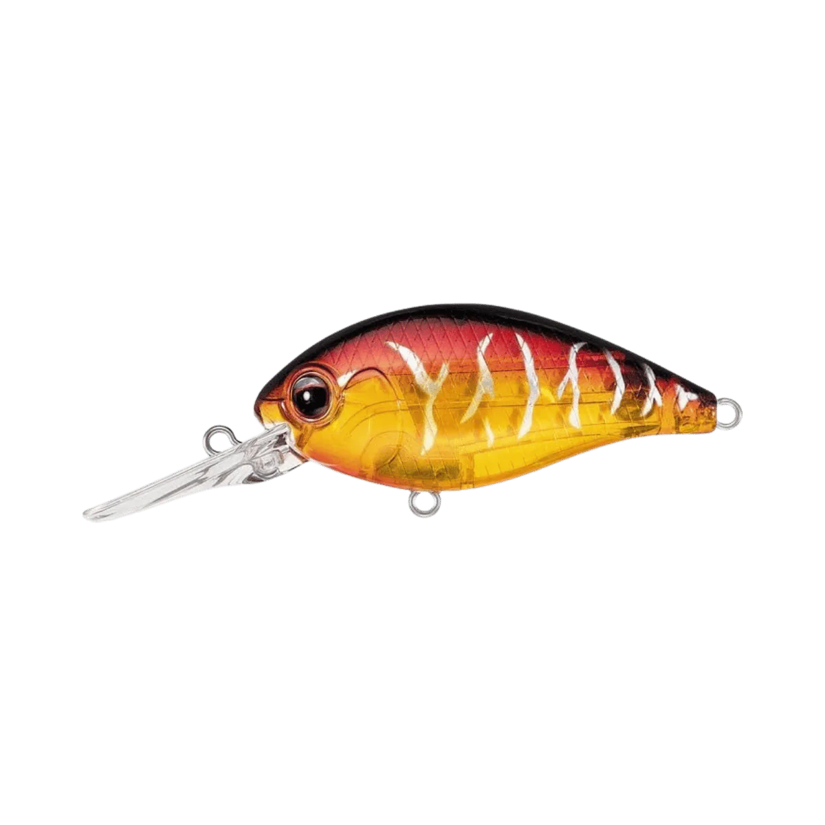 DAIWA EVERGREEN CR