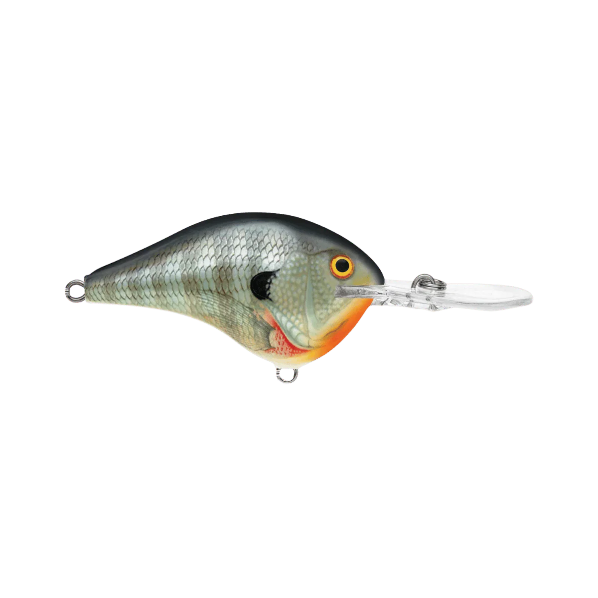 RAPALA DIVES-TO 12' - 2-1/4"IN 3/5 OZ - Image 2