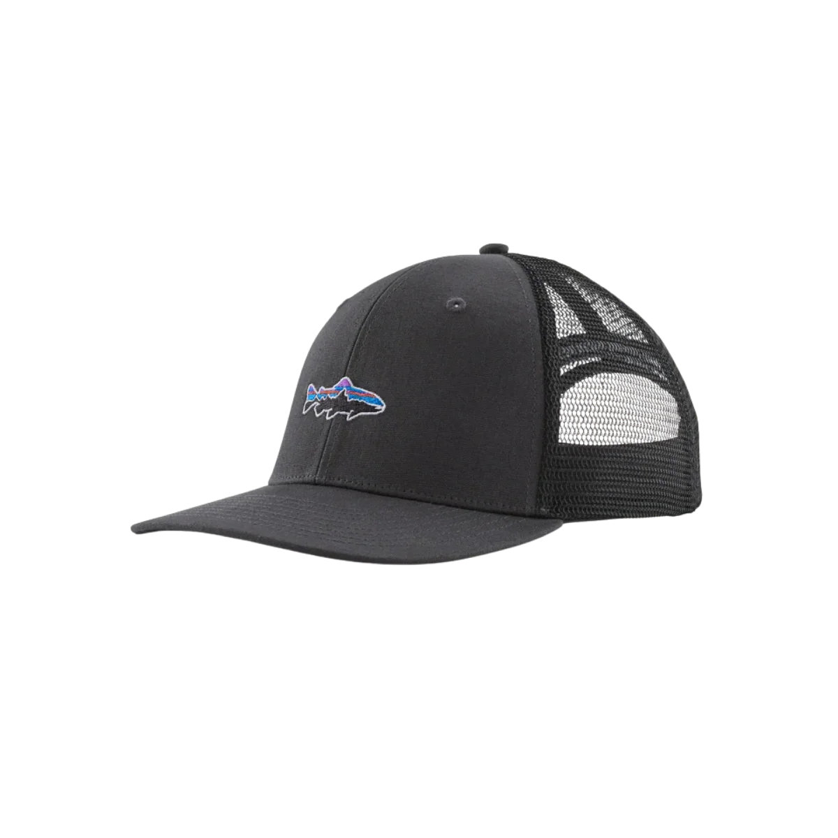 PATAGONIA TAKE A STAND TRUCKER HAT