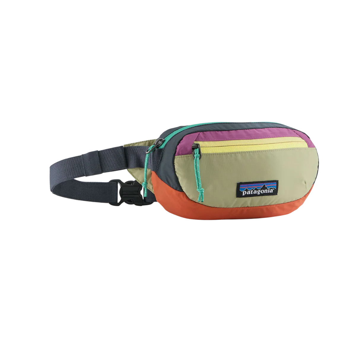 PATAGONIA TERRAVIA MINI HIP PACK
