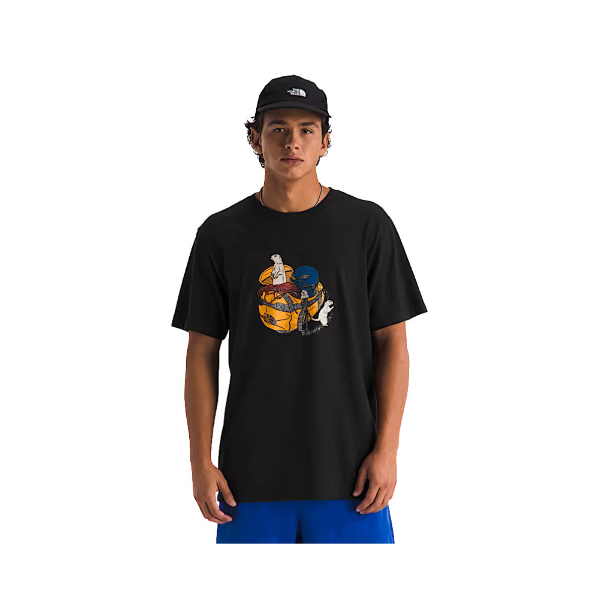 NORTH FACE WOODLAND WANDERER REG S/S TEE