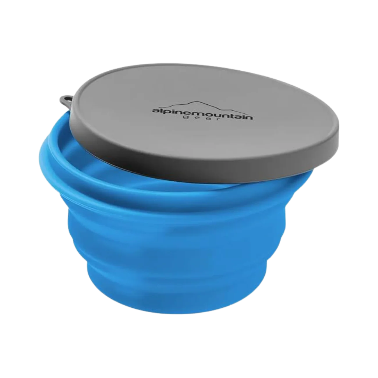 CADDISCOLLAPSIBLE CONTAINER W/LID