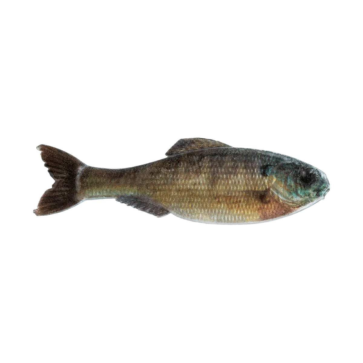 6TH SENSE PANORAMA BAIT 3.5 INCH - Image 4