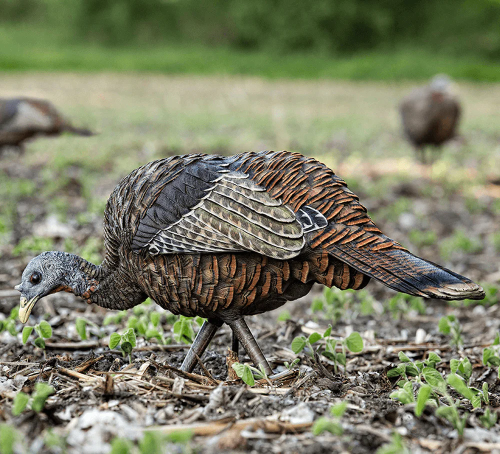 LCD FEEDER HEN TURKEY DECOY - Image 4