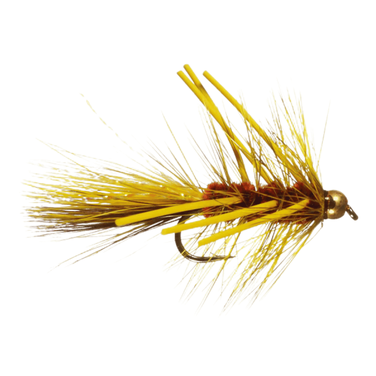 RAINY`S BEADHEAD AUTUMN BUGGER - SIZE 6