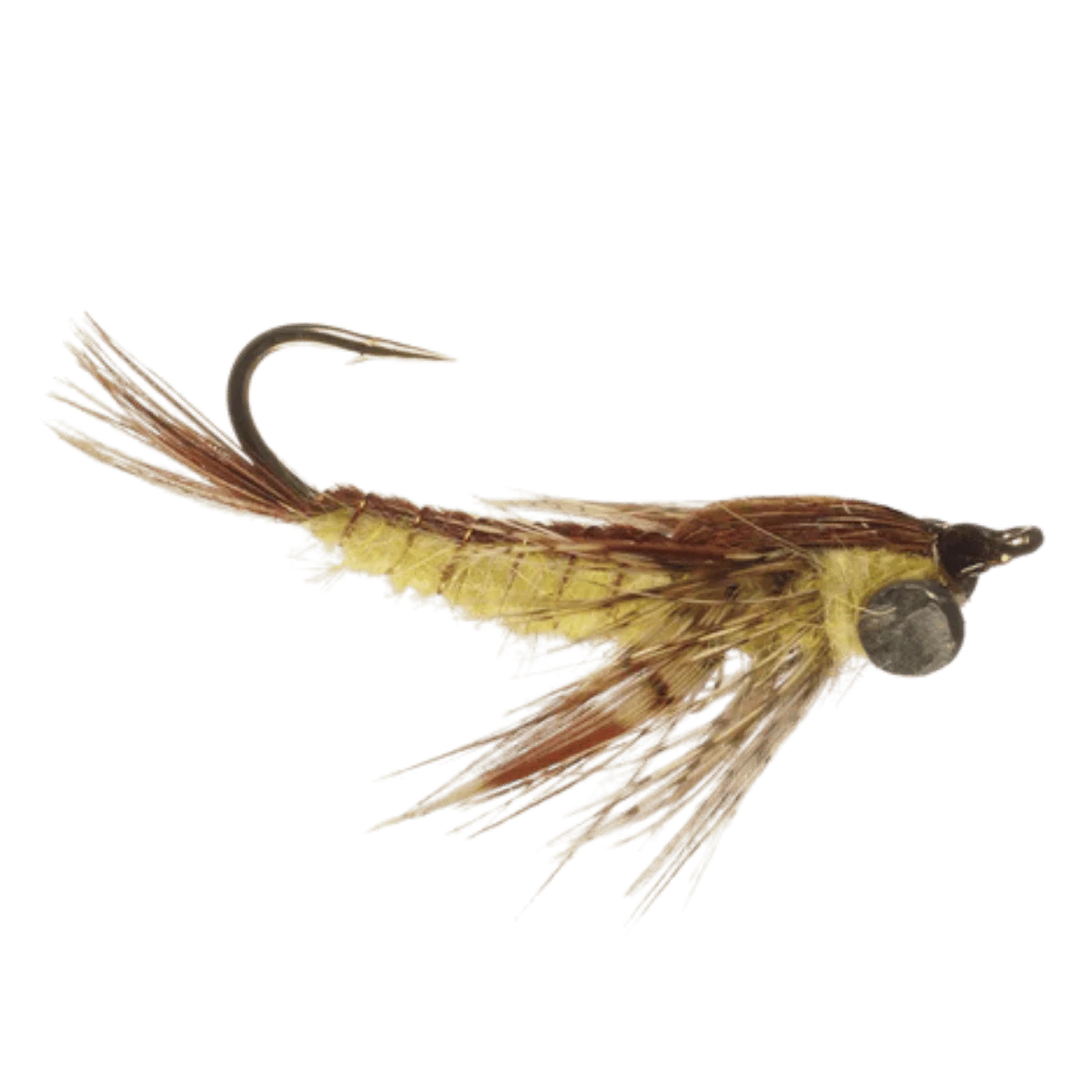 RAINY`S CARP HEX FLY