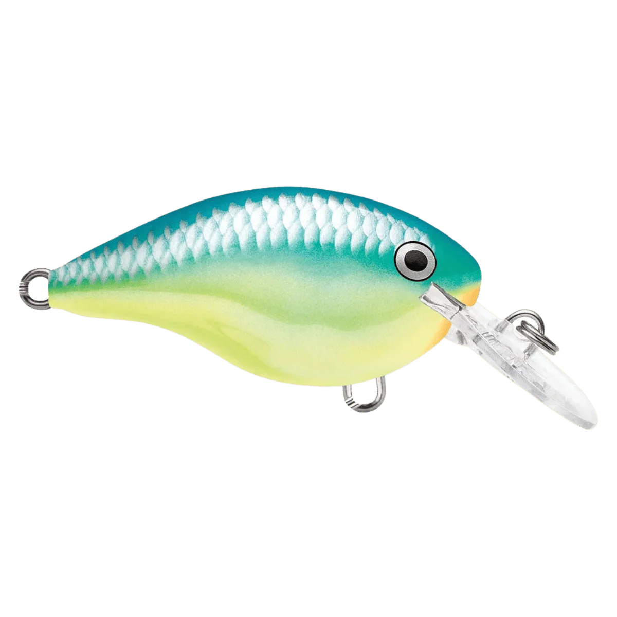 RAPALA DT6 SERIES CRANKBAITS - CARIBBEAN SHAD 2IN 3/8OZ
