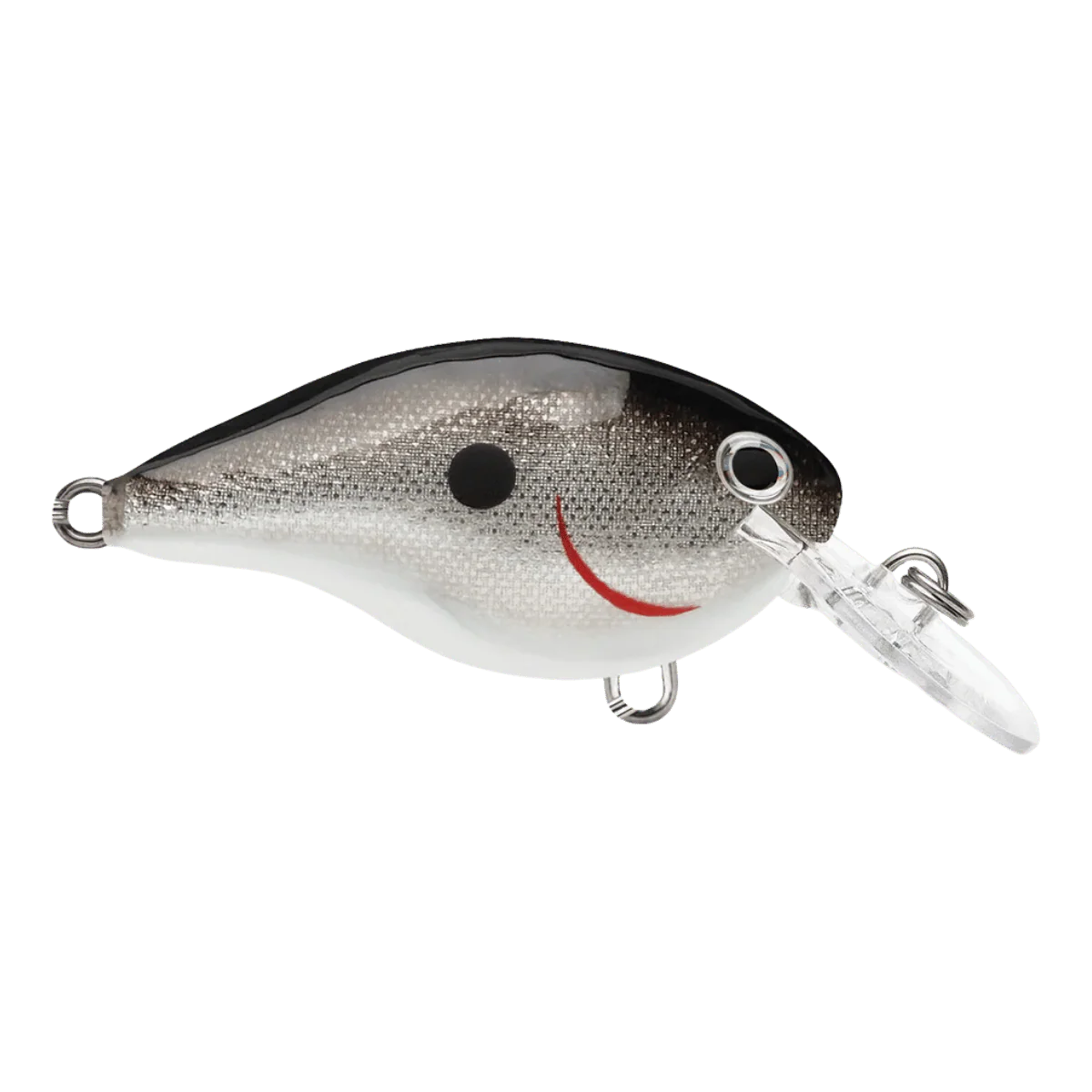 RAPALA DT6 SERIES CRANKBAITS - SILVER 2IN 3/8OZ