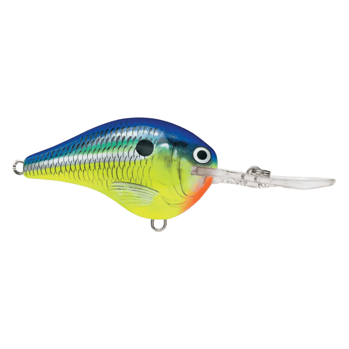 RAPALA DT10 SERIES CRANKBAITS - PARROT 2-1/4IN 3/5OZ