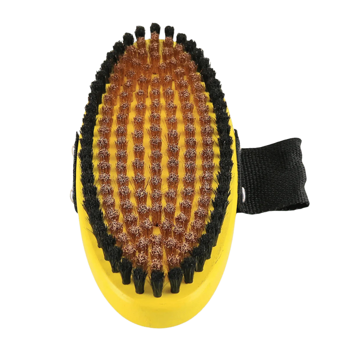 BEAST STIFF BRONZE HORSEHAIR OVAL BRUSH
