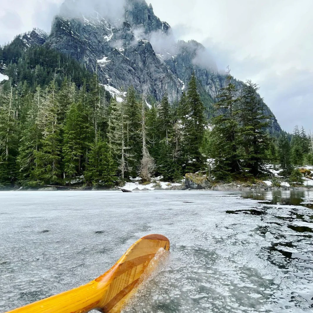 Bending Branches Impression Solo Kayak Paddle - Image 4